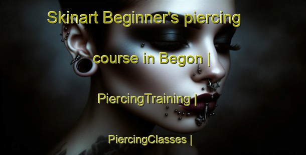 Skinart Beginner's piercing course in Begon | PiercingTraining | PiercingClasses | SkinartTraining-France